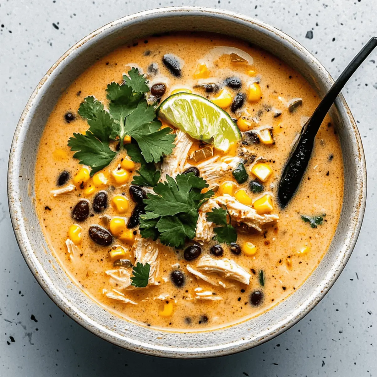 Cozy Up with Creamy Chicken, Poblano, and Black Bean Soup
